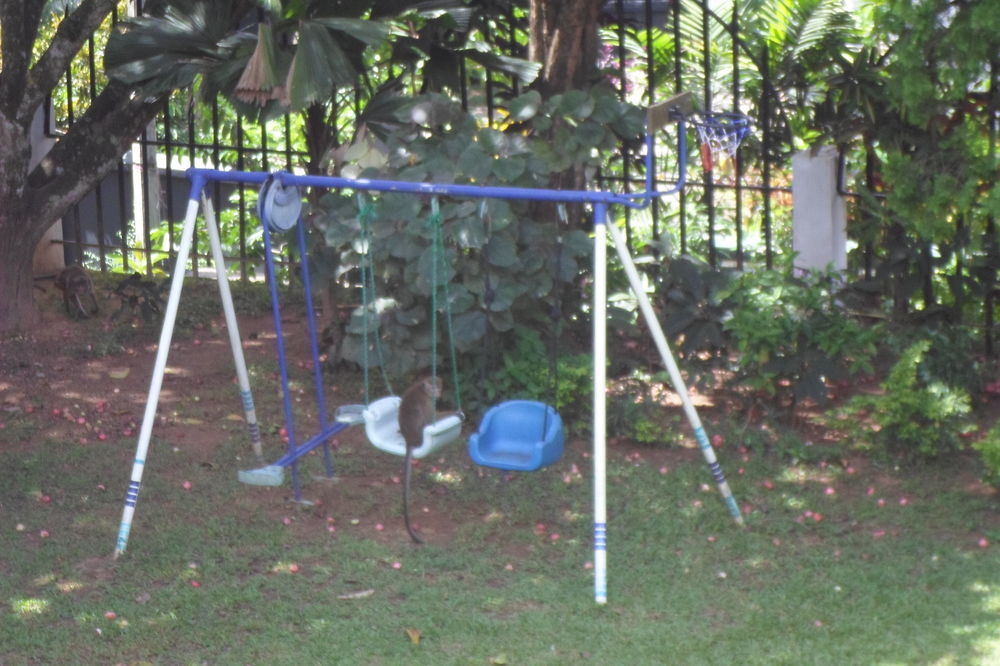 Kandy Green View Bungalow ภายนอก รูปภาพ