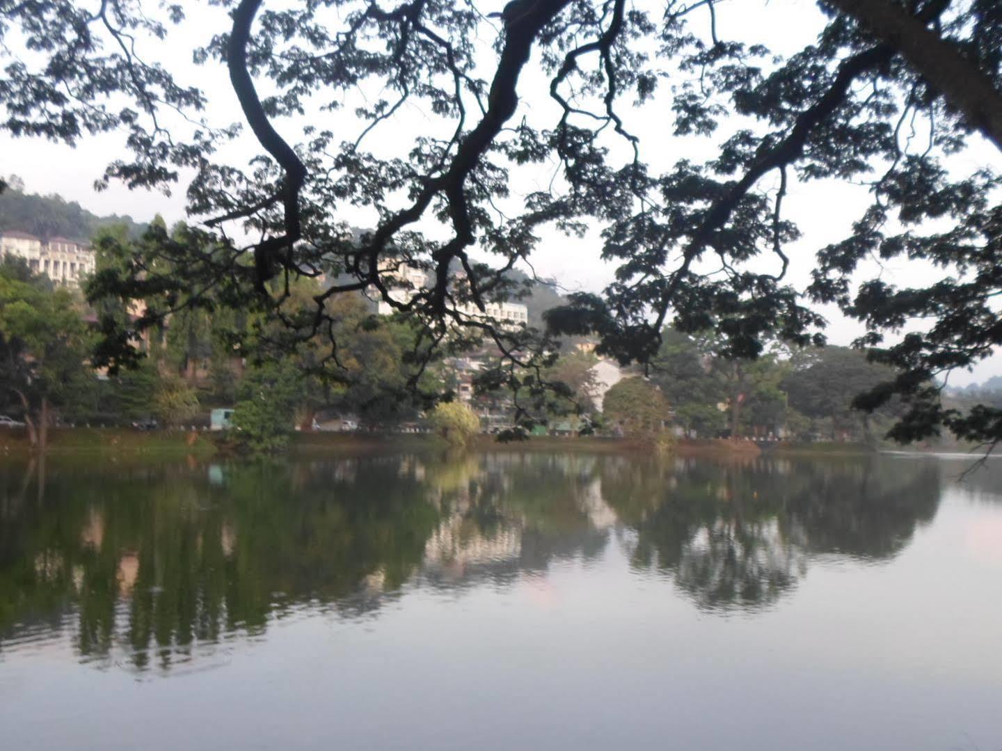 Kandy Green View Bungalow ภายนอก รูปภาพ